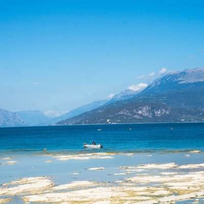 星空下载站官网手机app下载截图